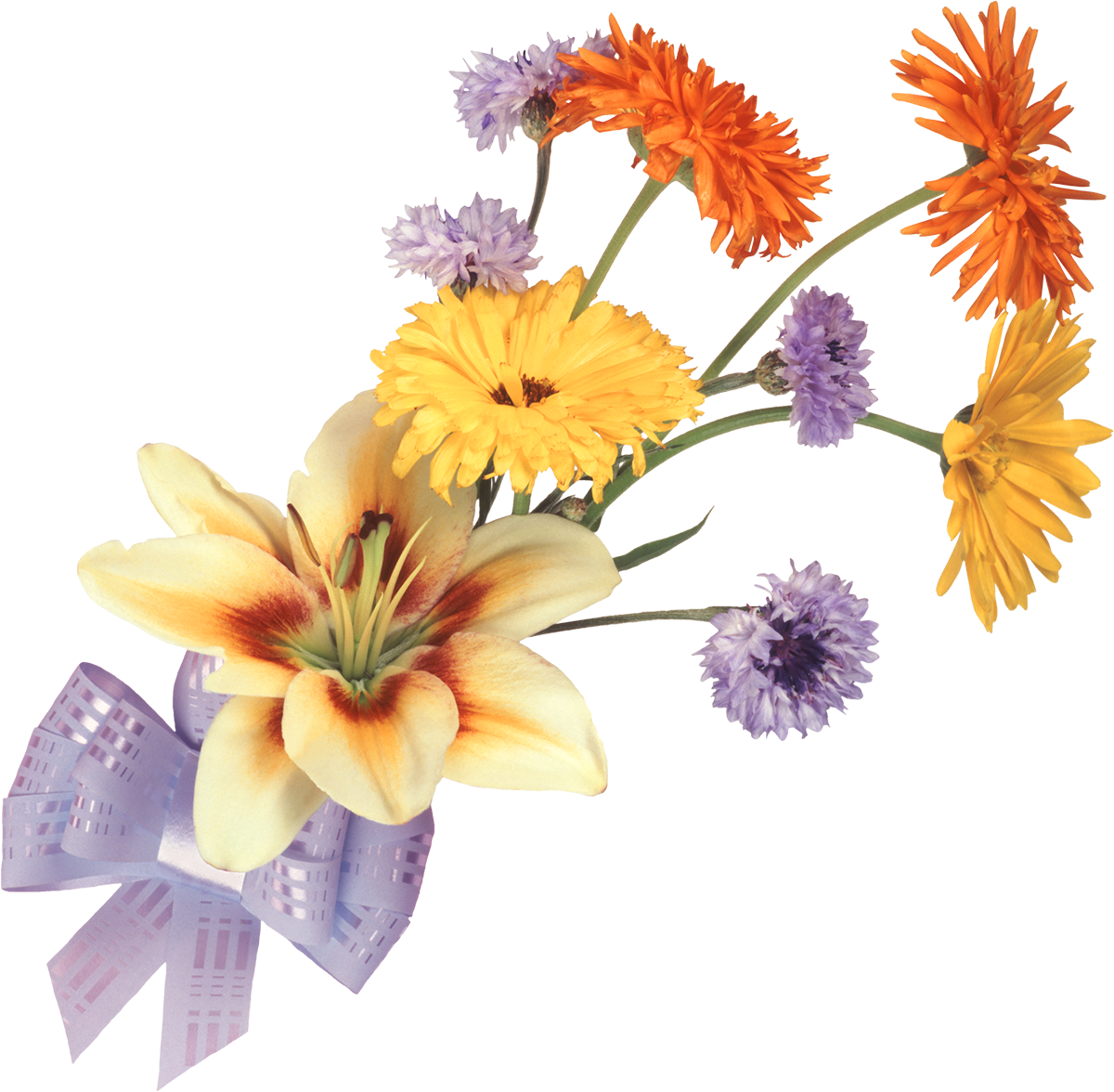 Flower Of The Fields Flower Bouquet Drawing Garden - Flower Of The Fields Flower Bouquet Drawing Garden (1200x1176)