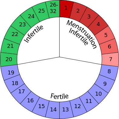 Can Clomid Delay Your Period And Can You Be Pregnant - Calendar Method (393x393)