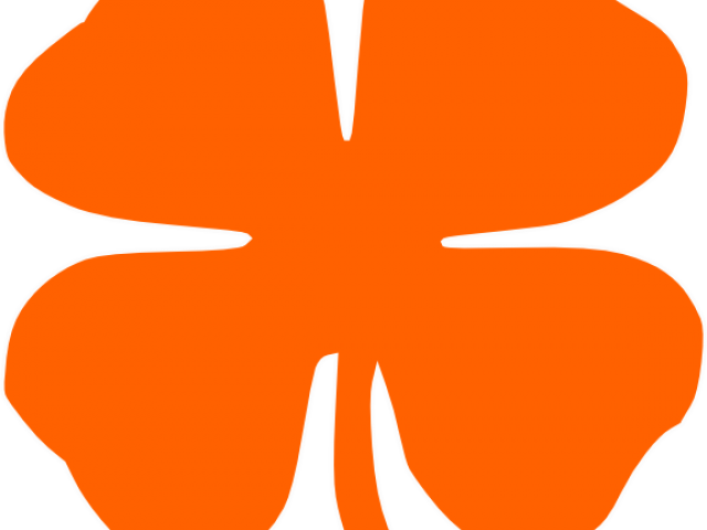Shamrock Clipart Orange - Shamrock Clipart Orange (640x480)