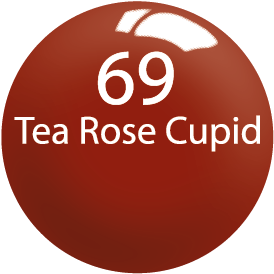 Tea Rose Cupid - Lily Pad Coloring Page (450x343)