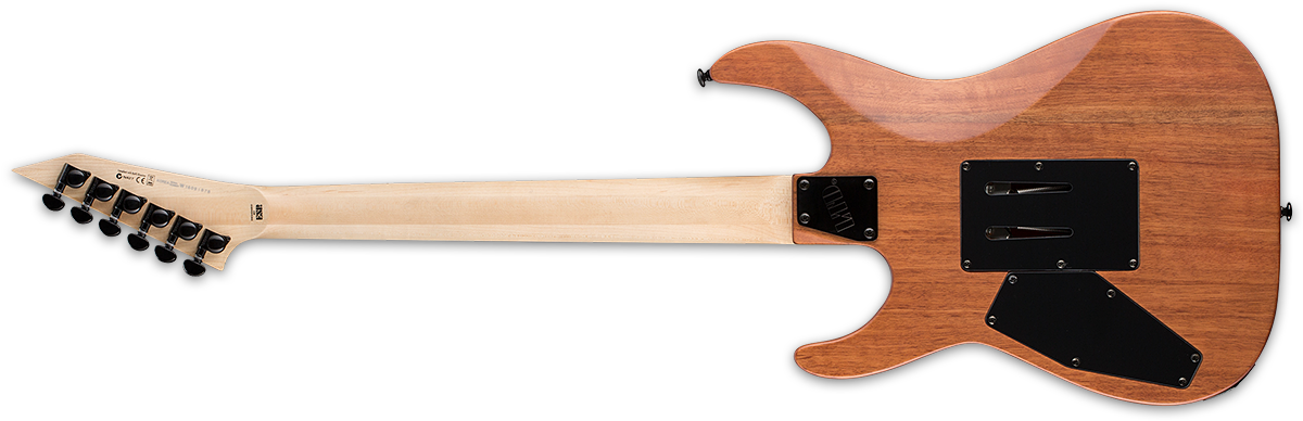 With The Professional Performing And Recording Musician - Esp Ltd M 400m (1200x396)