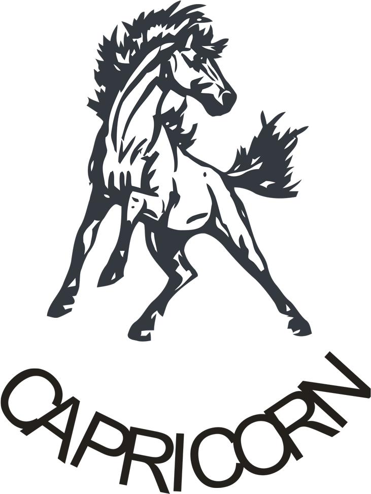 We Cater For All Levels Of Riding, From Beginners To - Meadowbrook High School Ohio (736x983)