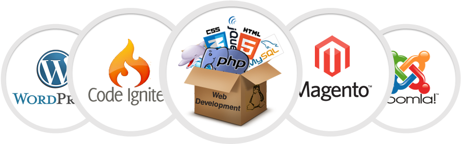 We Give Our Clients Full Control Of Their Website Without - N00b’s Guide To Wordpress: A Beginners Guide To Blogging (960x295)