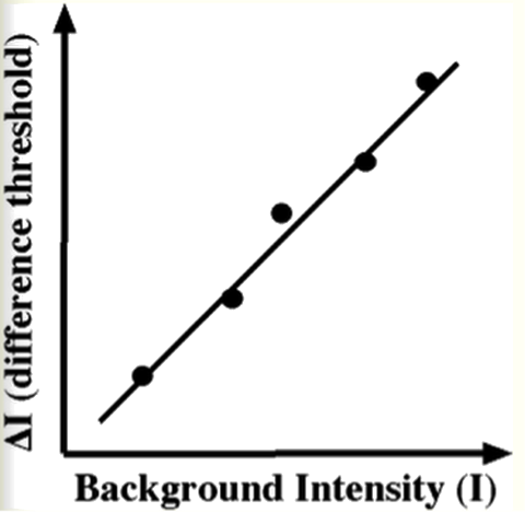 Sensation & Perception - Barksdale Federal Credit Union (480x468)