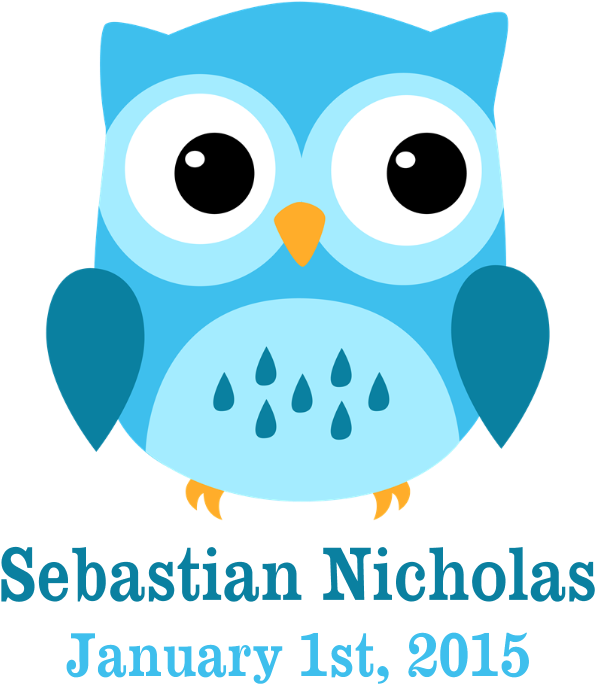 Blue Owl Custom Baby Name Birthdate Teddy Bear - Blue Night Owl Shower Curtain (700x700)