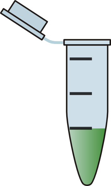 Eppendorf Tube Png (354x593)
