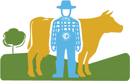 Cows - Illustration (469x318)