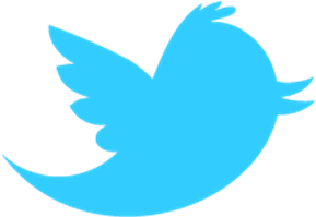 Like Us On Facebook - Twitter Bird Png (400x400)