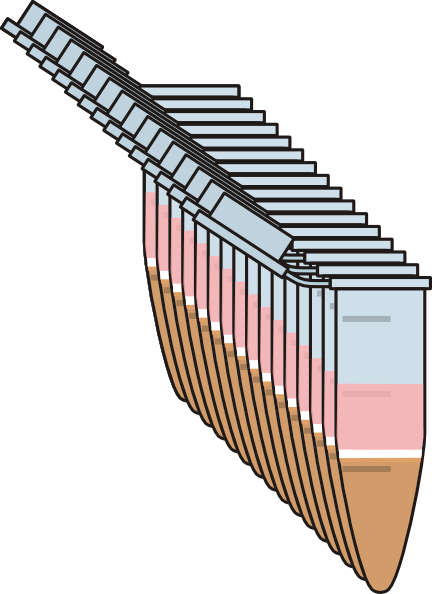 Phenol Chloroform Isoamylalcohol - Phenol–chloroform Extraction (432x594)