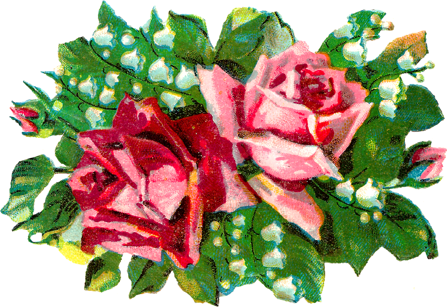 White Lily Of The Valley Flowers And Bright, Green - Garden Roses (1600x1097)