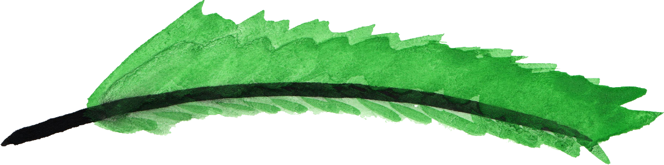 7 Watercolor - Green Feather Png (1298x324)
