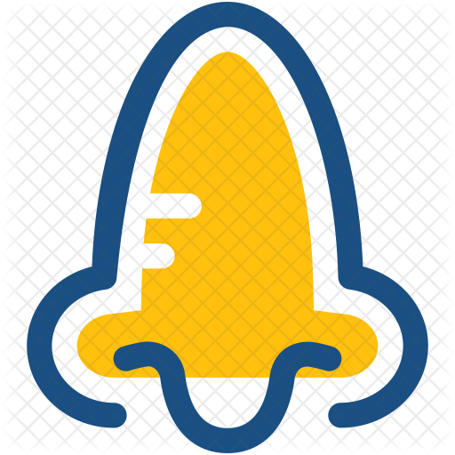 Nose Icon - Nose (512x512)