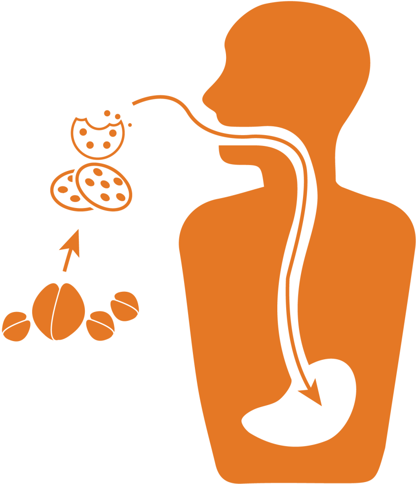 Impacts Our Food System - Indigestion (1024x1024)