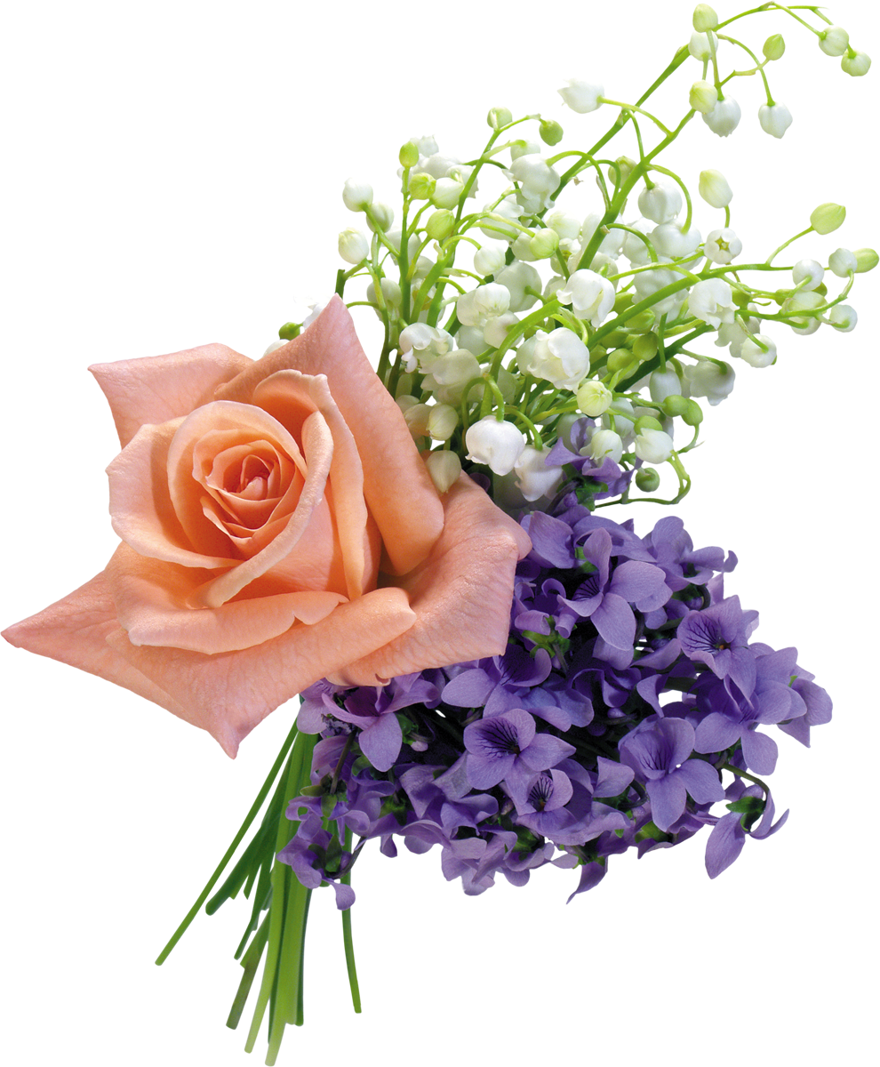 Flower Bouquet Rose Stock Photography - Flower Bouquet Rose Stock Photography (990x1200)