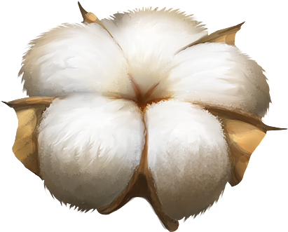 Cotton Png - Cotton (500x500)