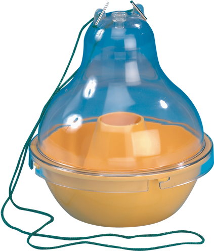 Domestic Dome Trap - Trapping (500x500)