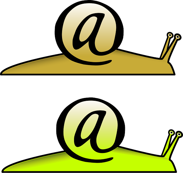 Email, Mail, Slow, Speed - Best Gift - Snail Email Hoodie/t-shirt/mug Black/navy/pink/white (640x604)