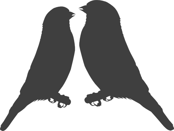 How To Set Use Fitch Love Couple Icon Png - Bird Couple Clipart (600x453)