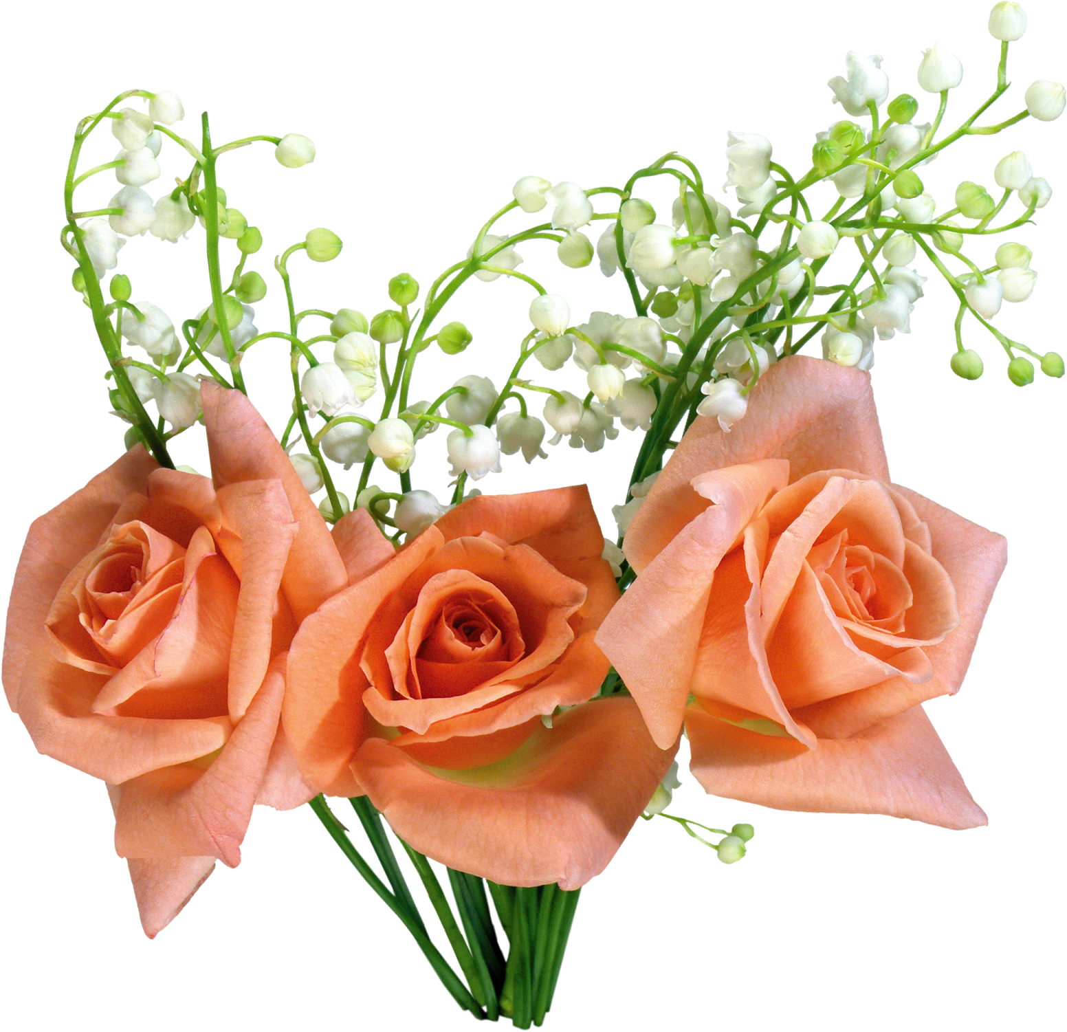 Roses With Lily Of The Valley - Flower (1600x1527)