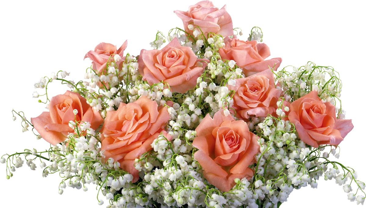 March 8 International Women's Day Holiday Love Greeting - March 8 International Women's Day Holiday Love Greeting (1200x682)