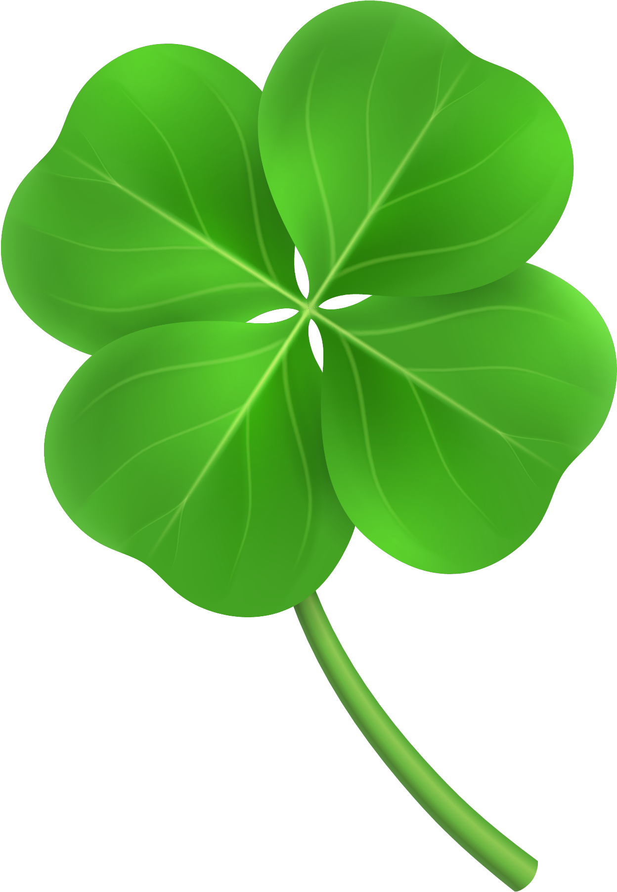 Clover Png Transparent Free Images Only - Cartoon (1493x2005)