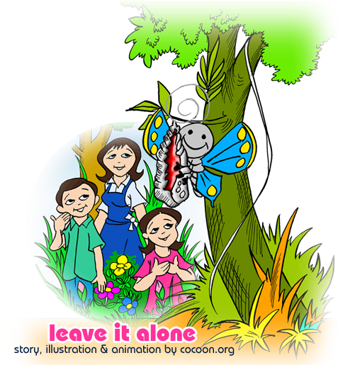 Cocoon Articles And Butterfly Life Cycle - Cocoon And The Butterfly Story (490x514)