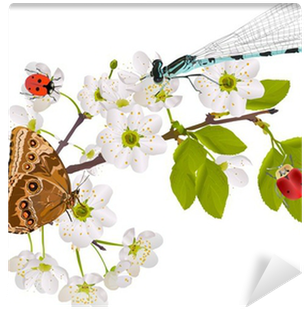 Cherry Tree Flowers And Bright Insects On White Wall - Falling Flower Vector (400x400)
