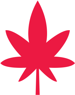 Who's Really Using Marijuana In Co - Most Likely To Use Marijuana (438x421)