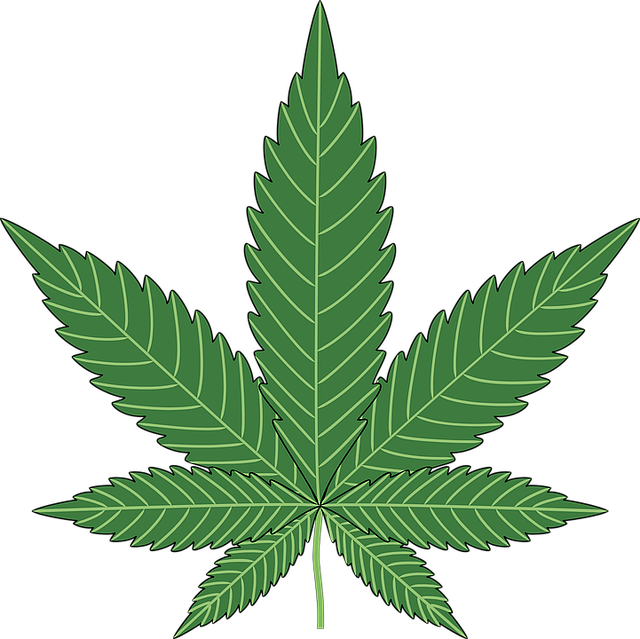 Advantages Of Legalizing Marijuana - Cannabis Png (640x639)