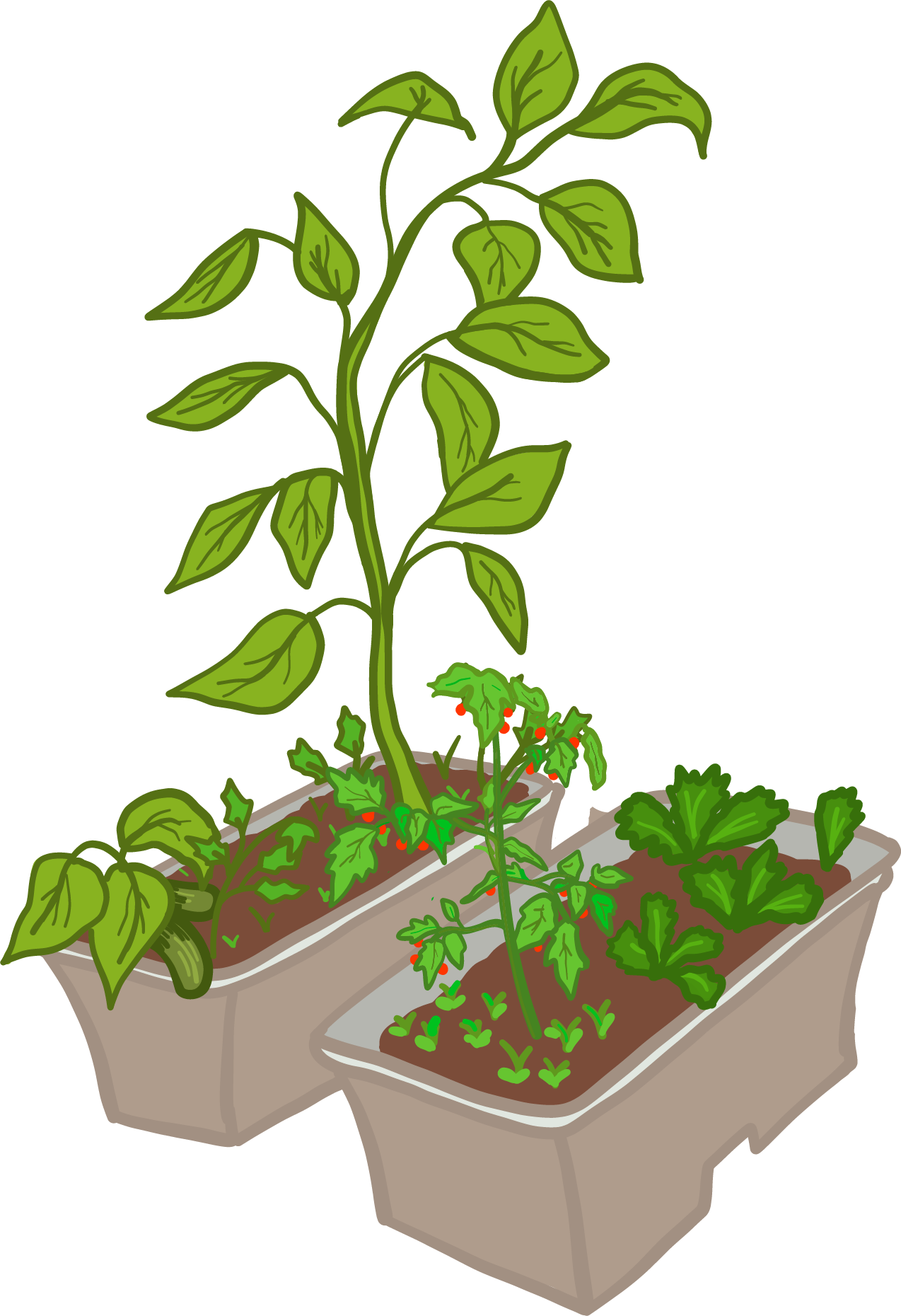 What Is A Vermi-composting Kit - Flowerpot (1274x1860)