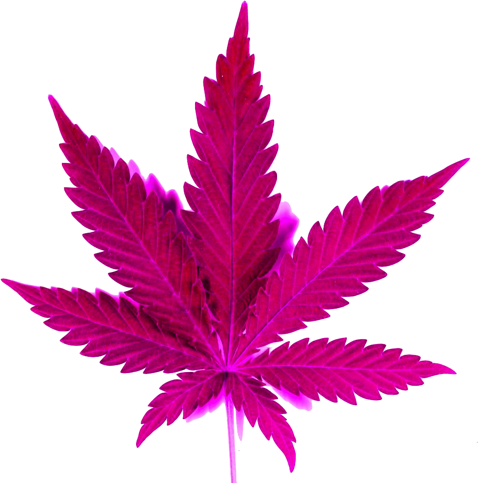 Weed Tumblr - Marijuana: The Gateway To Abundance (1024x1024)
