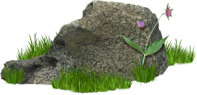 Rock Clip Art - Rock Clip Art (800x388)