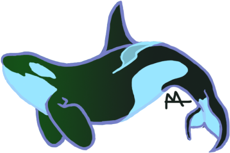 Orca Clip Art Free - Orcinus (500x337)