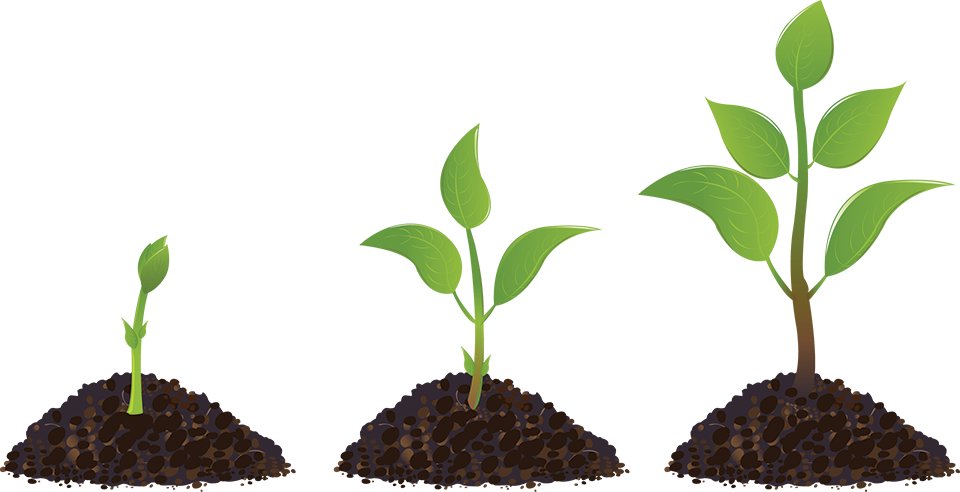 Church Planting Forums Home - Social Entrepreneur's Playbook, Expanded Edition - (960x492)