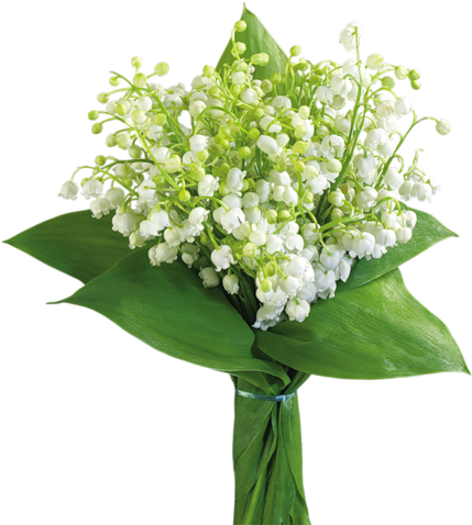 Explore Lily Of The Valley, Cottage, And More - Fée Porte Bonheur (459x500)
