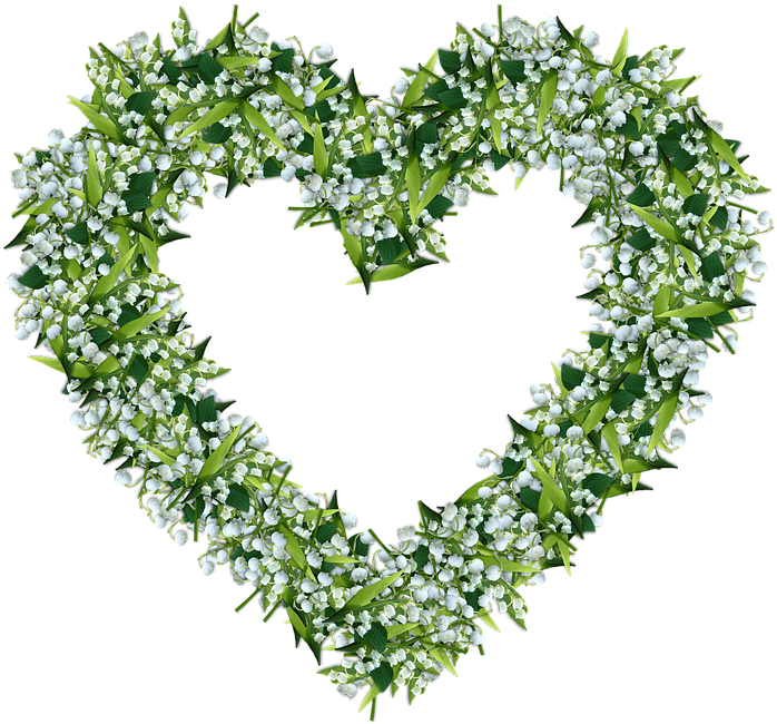 Lily Of The Valley Png Photo - Portable Network Graphics (720x720)