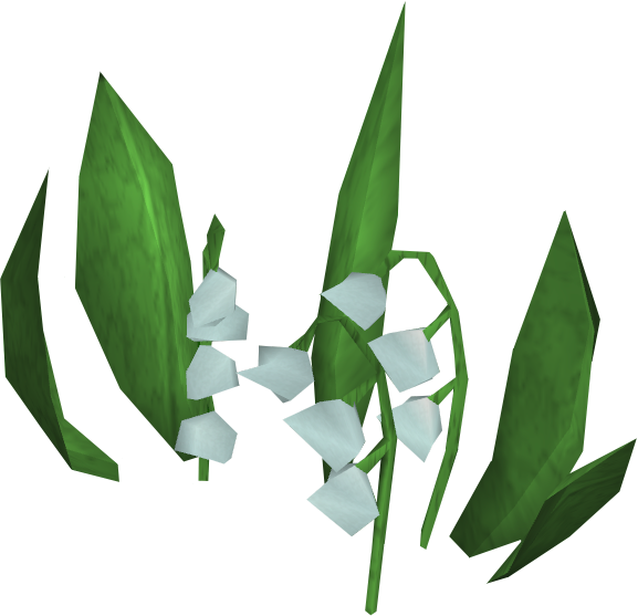 Lily Of The Valley Transparent Png - Lily Of The Valley Png (577x557)