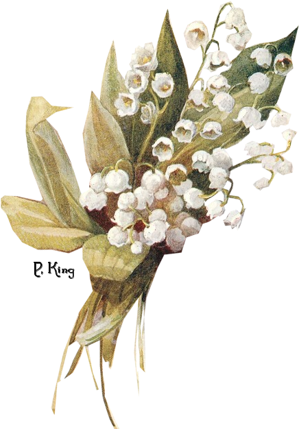 Lily Of The Valley Clipart Vintage - Lily Of The Valley Vintage (435x640)