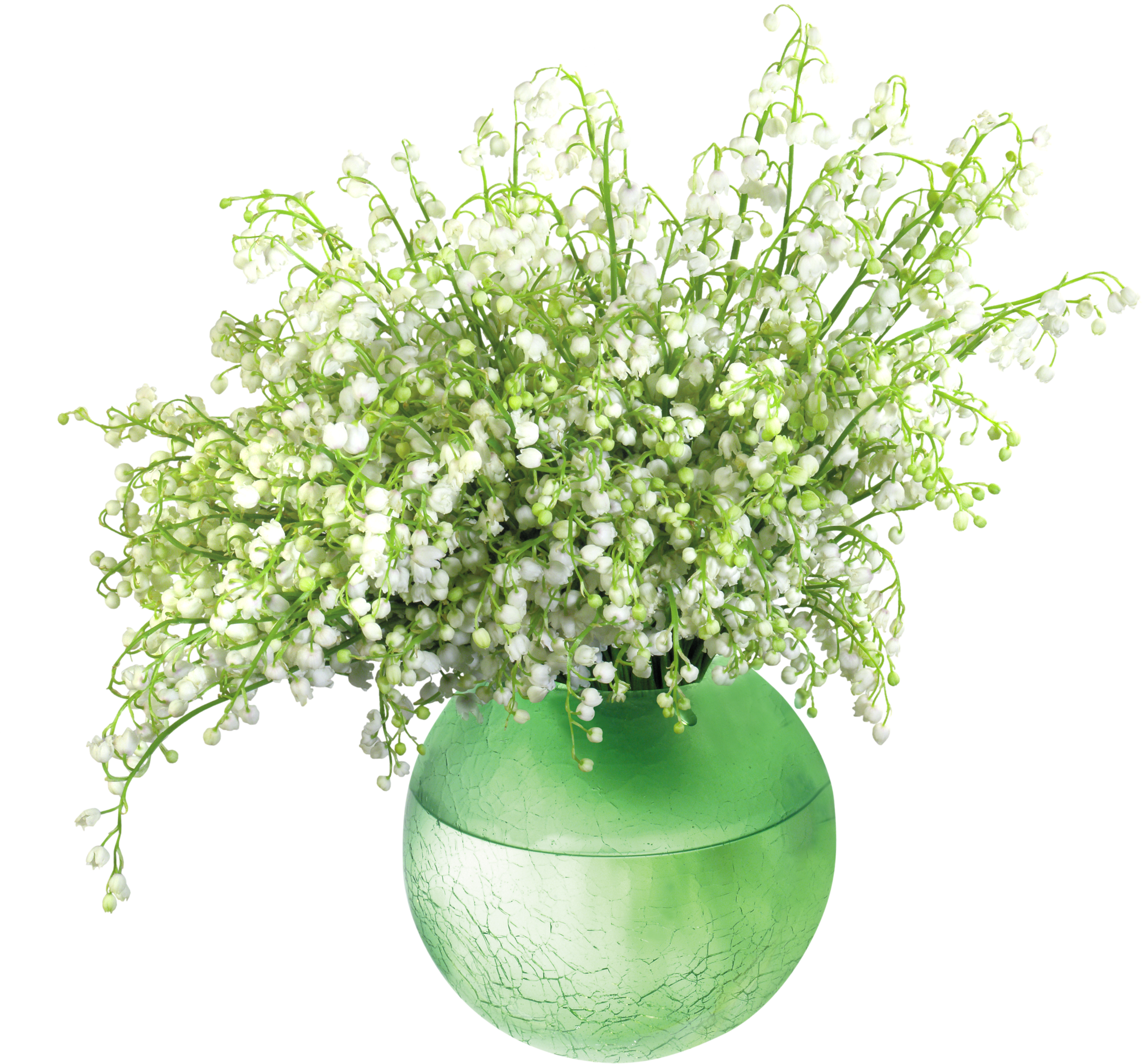 Lily Of The Valley Clipart Transparent - Lily Of The Valley In Vase (2800x2607)