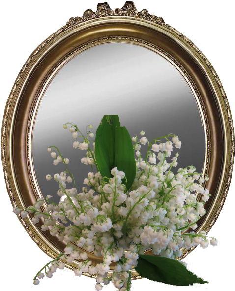 Lily Of The Valley And Mirror - Beaux Gif De Femme (519x610)