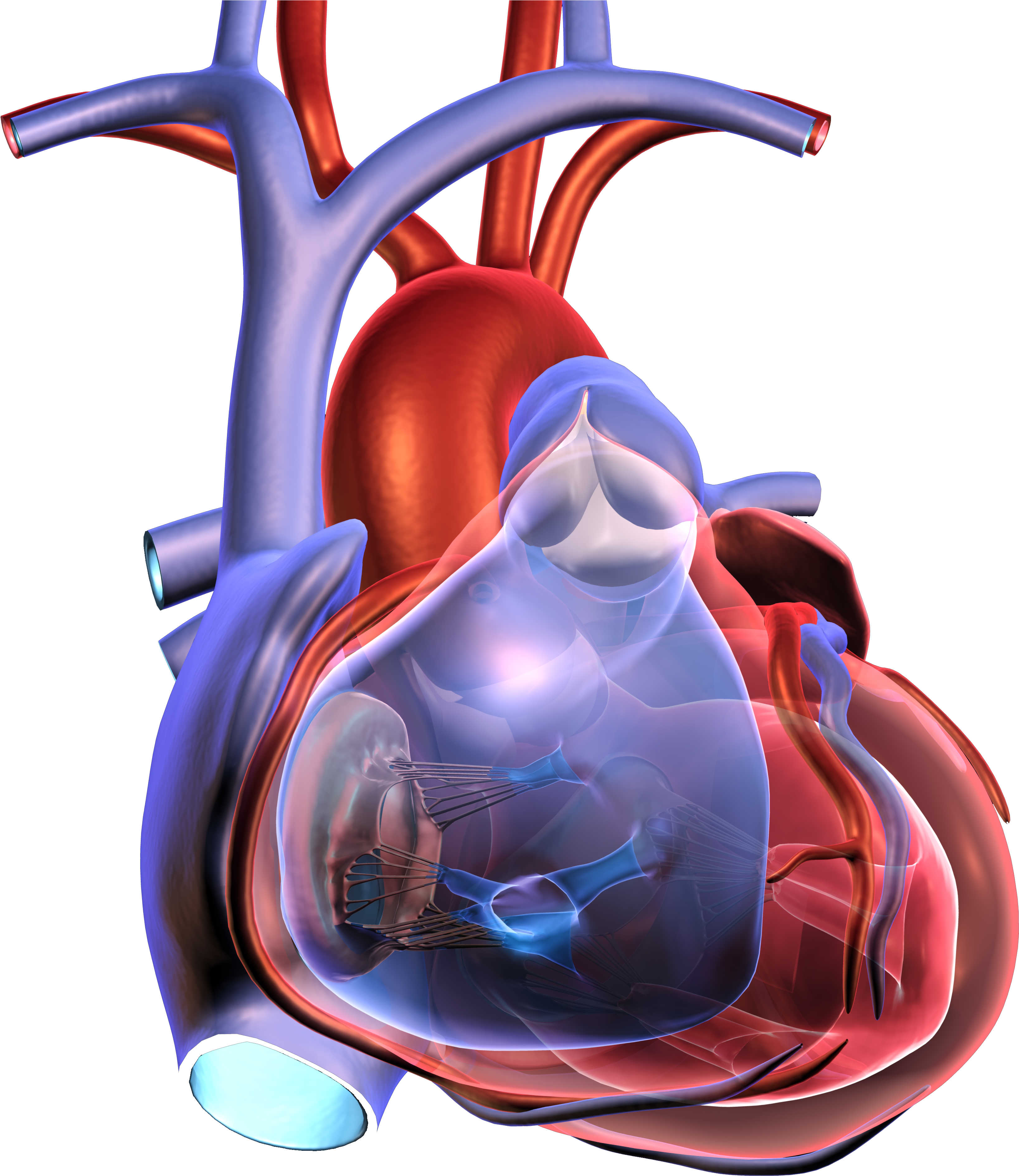 Events - Cardiac Arrest (4096x4096)