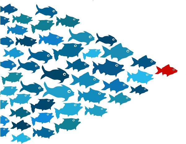 School Of Fish Transparent Png - Now, Discover Your Strengths (600x475)