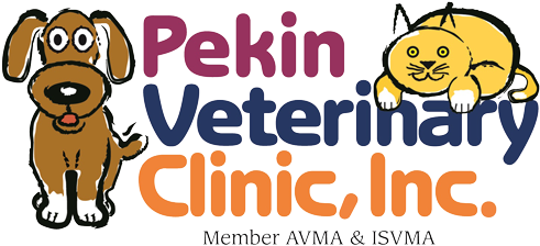 Customer Service Bill Of Rights - Pekin (500x270)