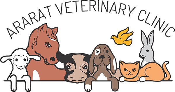 Small Animal Medicine - Ararat (600x316)