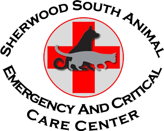 Emergency Animal Hospital In Baton Rouge, La - Women's Professional Rodeo Association (640x512)