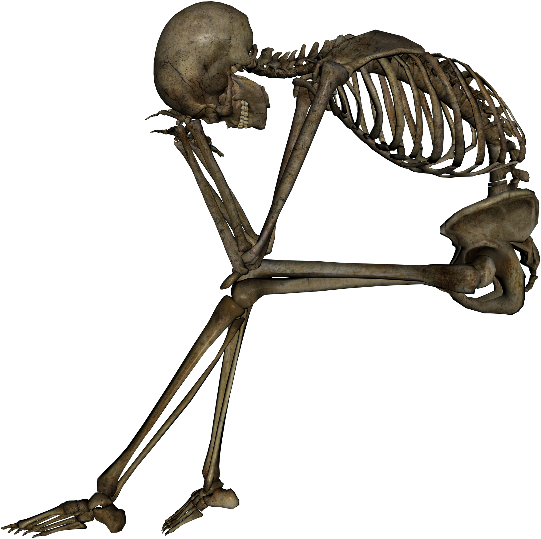 Skeleton Clipart Sad - Look At The Skeleton Inside Her (2400x1800)