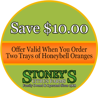 $10 Off Special Offer - Estero (390x390)