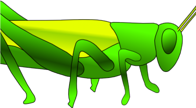 Grasshopper Clipart Small - Grasshopper Clip Art (640x480)