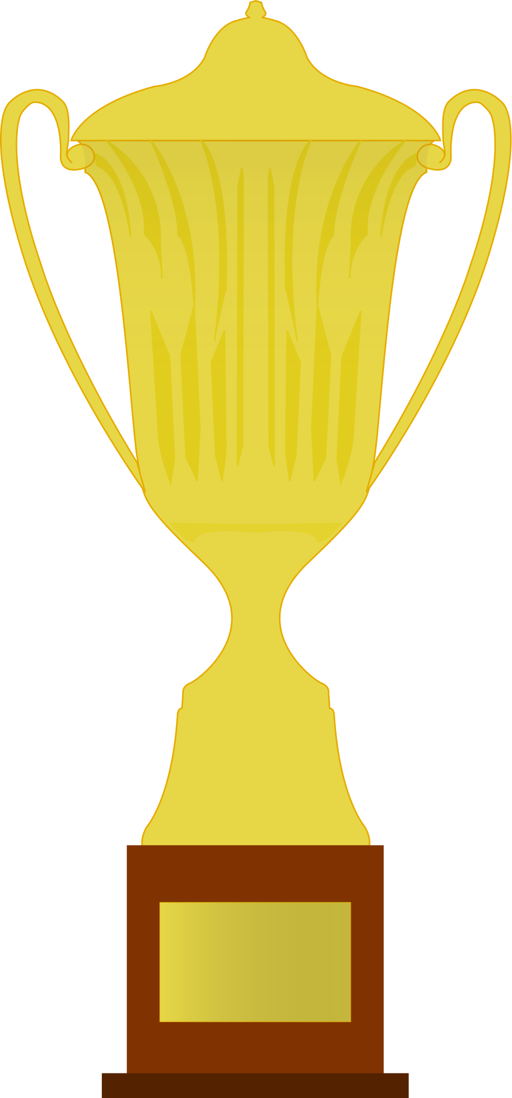 Ecuadorian Serie A 2016 Trophy - Trophy Svg (1000x2143)