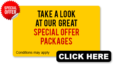 North Brisbane Driving Lesson Special Offers - Smoke Up Bitches Throw Blanket (450x275)